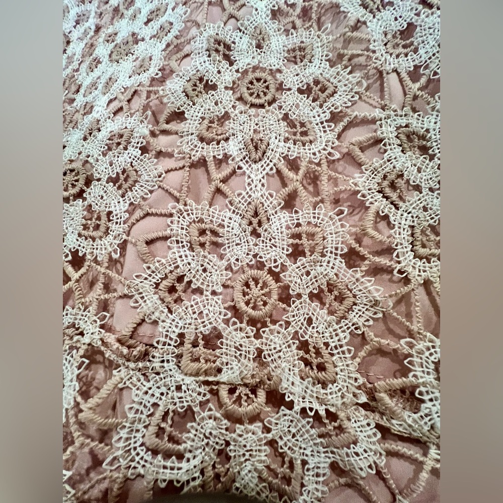 SAYLOR Lillie Lace Illusion Dress 
Illusion Neckline/Open Back 
MED 
BLUSH/IVORY - Picture 3 of 16